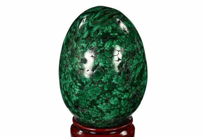 Stunning, Polished Malachite Egg - Congo #150314